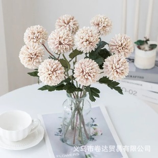 ������滨�ѹ�Ӣ����S�ҼҾ��b�c������·���ٻ����l�羳