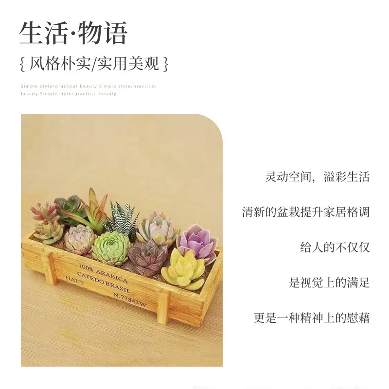 阳台盆栽植物长方形盒子实木多肉盆景分格木盒多肉花盆大口径木盒|undefined