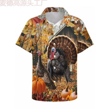 25ʿ3Daӡ䷭IarվRdQDӆ