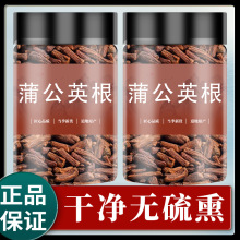 蒲公英根茶东北土特产鲜婆婆丁大段散装莆公英根整根药材