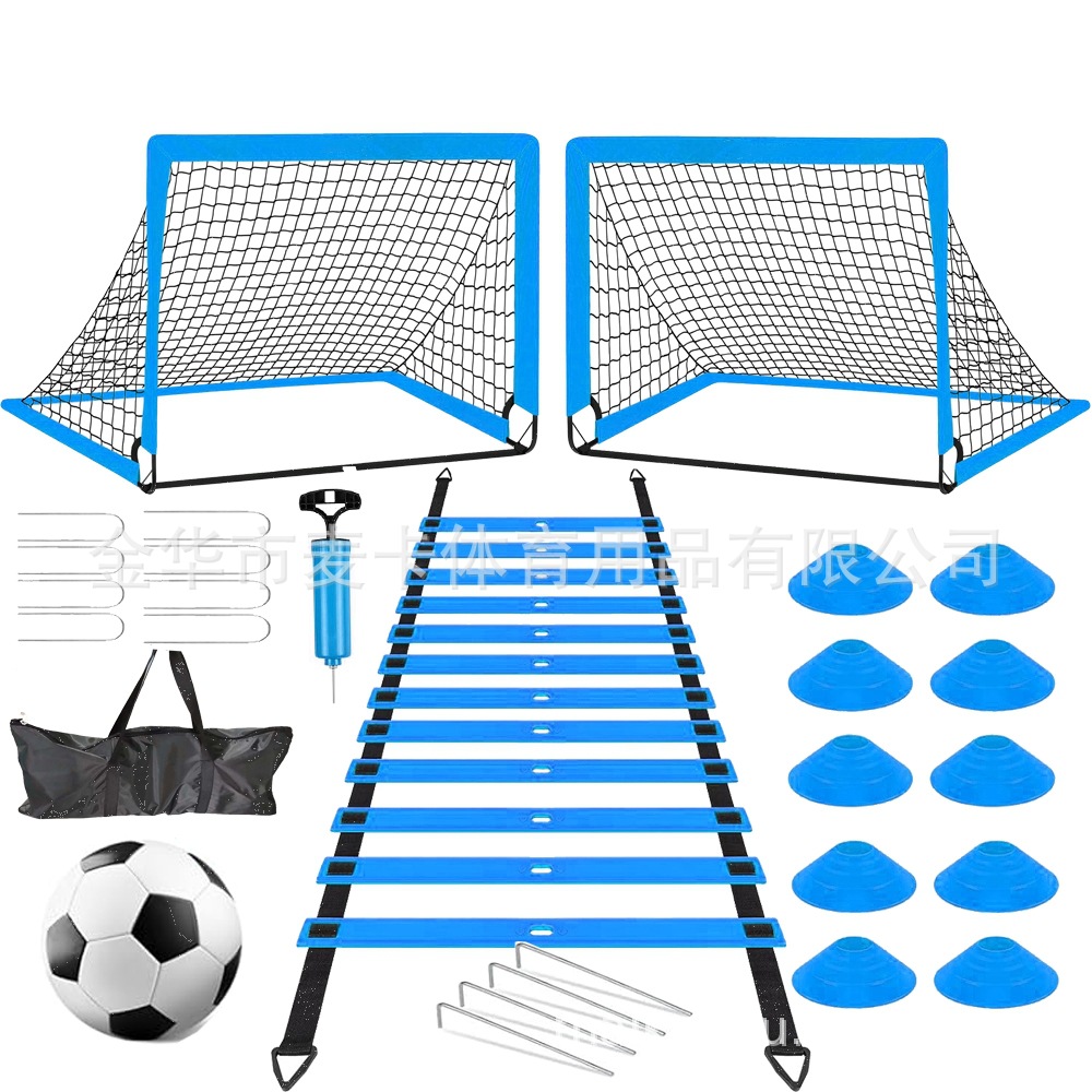 프로페셔널 골 세트(블루)