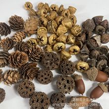 lɫȼɻɹ··ͨDIYɻhb