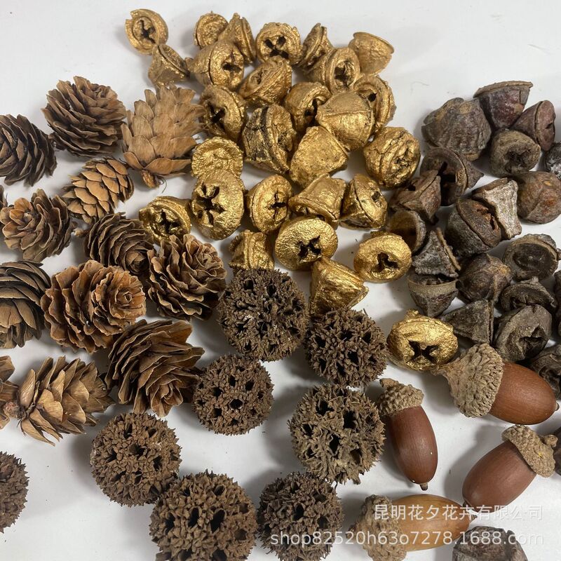 Wholesale Golden Eucalyptus Landing Pine Dried Fruit Passepartout Acorn Fruit DIY Dried Flower Garland Pack