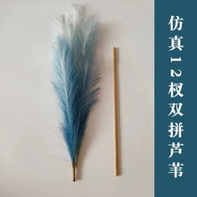 �����JȔ���W��Y�b��R�d���� 12��2ƴ�F؛ ������Ȕ ����˹��