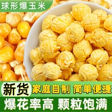 ���α��׻�������100g5�����ͱ��׻��ɰ��׼�ͥ΢���t�Լ���