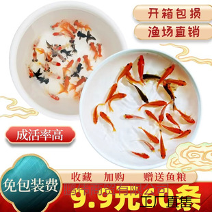 ��ˮС���~�^�p�~���N�\���~С�^�p�~�ͻ���ˮ�~��t���~