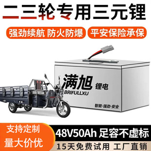 電動車鋰電池快遞車比亞迪鐵鋰電池組電動摩托車專用48v50ah