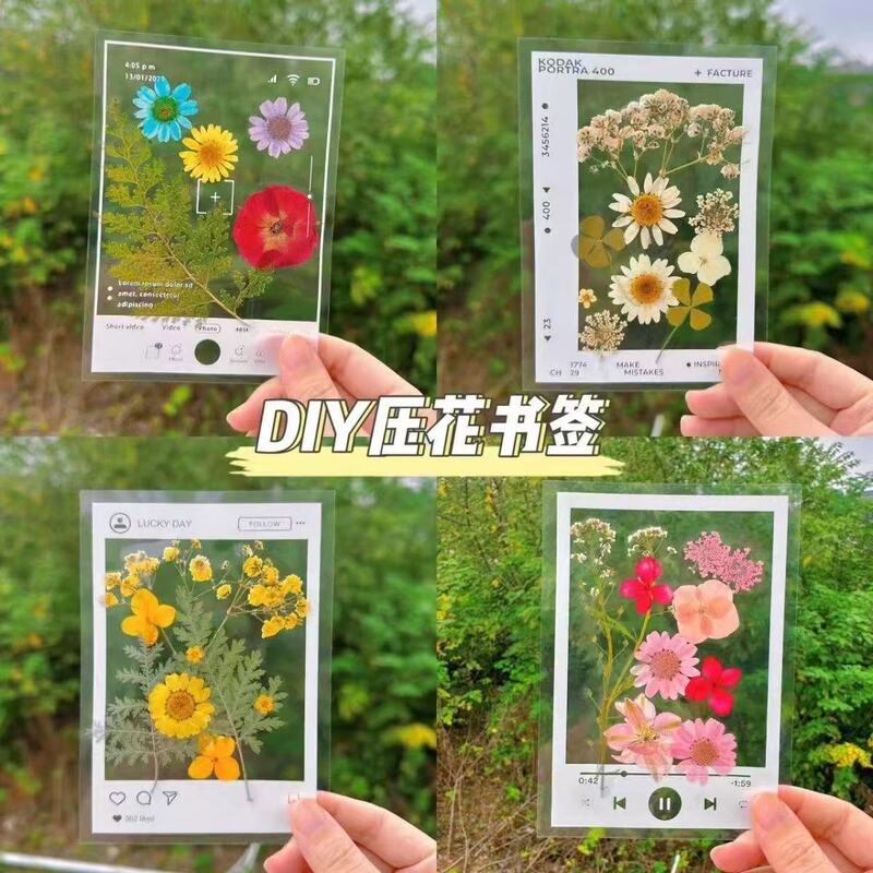 Photo Frame Series DIY Homemade Bookmarks Can Save Photos for Primary School Students Handmade Handmade Bookmarks Plant Embossing