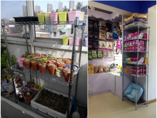 2F3��70CM�߲��P�ɫ�N���������܌Ӽ�΢���t����ܽ��ټ����