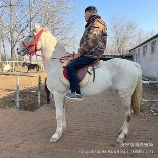 �������T�˵±����R��������С���R���w���۾��^�T�˴��R�^�p�Bֳ