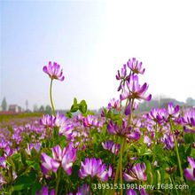 ���Ӣ�N�ӹ��@�G�ʼt�������ļ��߮a���ݷN���B����Դ���^�ݷN��