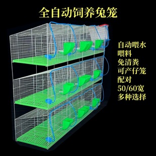 �û\�䌦������Ʒ�����ʻ\ĸ�îa�л\�Lë�N��12�\λ�Ӵ����û\��