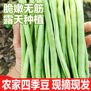 �������r�߲ˬFժ�ļ���3�����r�r����߲��r���ԷN��G�ļ���