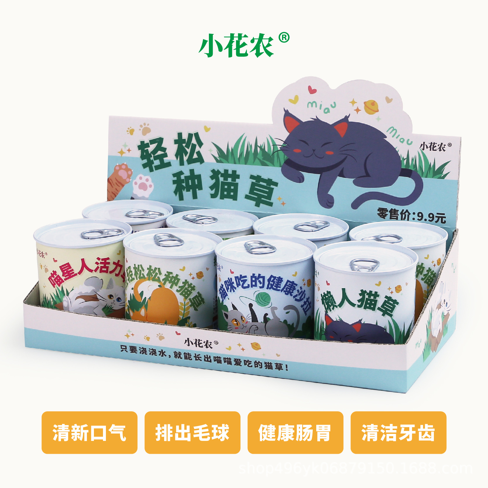 고양이풀을 쉽게 키울 수 있습니다. 8가지 스타일이 혼합되어 있습니다. 8개의 무료 디스플레이 상자 [단일 가격]