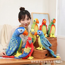 �W�^��żë�q���С̫��B�W�^���������b[����ͯ���նY��