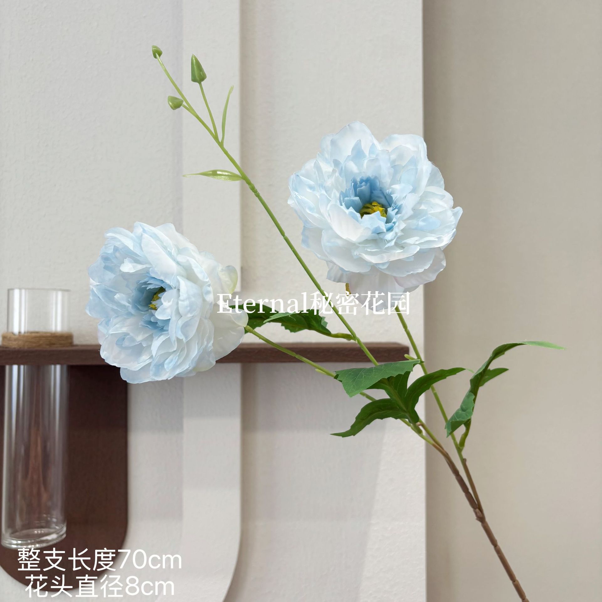 일로 모란