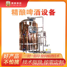 酿精酿啤酒设备 啤酒精酿酿造机器 小型生产啤酒机械 啤酒发酵罐