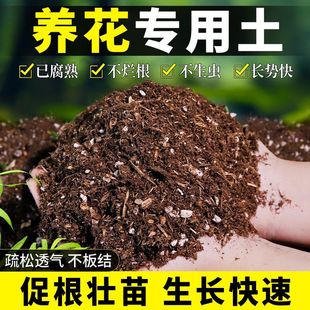 �B�����àI�B�����÷N�˷Nֲ��̿��������ֲ��ͨ���Ͱl�͸�ֳ��