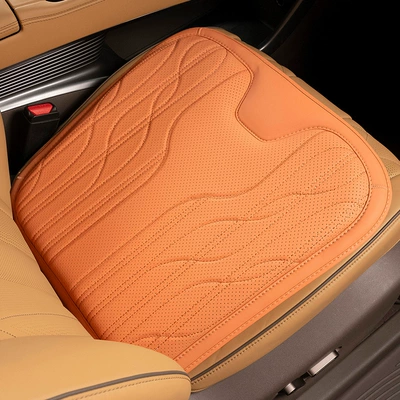 universal headrest lumbar support integrated: Waist support - d-cushion-aima-orange-without-standard