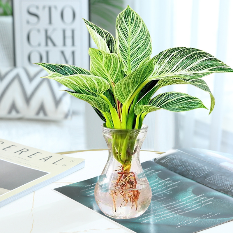 백금다이아몬드 1개(히아신스병) + 크리스탈머드 + 영양액