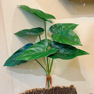 ����t���~ֲ�����ָа˽ǽ�P���ͻ�ˇ�쾰�~�������~�^���~