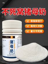 �iĸ����~Сș�ߝ�������ĩ�㾫�~�D�a�~���~�_���iĸ�����ӄ�