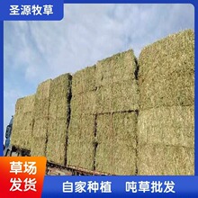 �F؛��Ħ����50KG/��������؈���m�i���ݕ����Ħ���ݺ����Ħ��