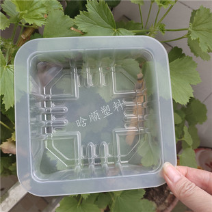 Pp Low Temperature Resistant Sealable Disposable Pickled Pepper Chicken Claw Boneless Chicken Claw Lock Fresh Box Duck Goods Duck Neck Plastic Box