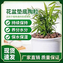 陶粒球花盆垫底园艺通用型空心陶粒水培垫盆底批发养花多肉发财树