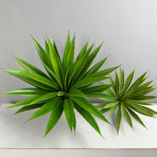 ���愦�������mС���鄦�m�~���Ծ��^�b����҃ȾGֲ�Ꭷֲ��