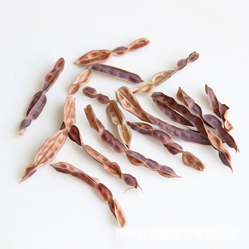 Quả đậu lăng [một hộp 10g]