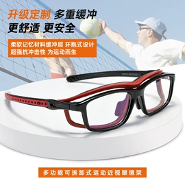 框架眼镜;光学眼镜;太阳镜