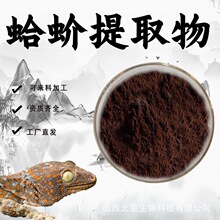 蛤蚧提取物10:1水溶性粉大壁虎提取物粉末食品级保健品原料现货