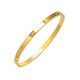 Bracelet Women's European and American Ins Cross-border Stainless Steel Gypsophila Bracelet Jewelry Fashion Simple Diamond-encrusted Titanium Steel Bracelet