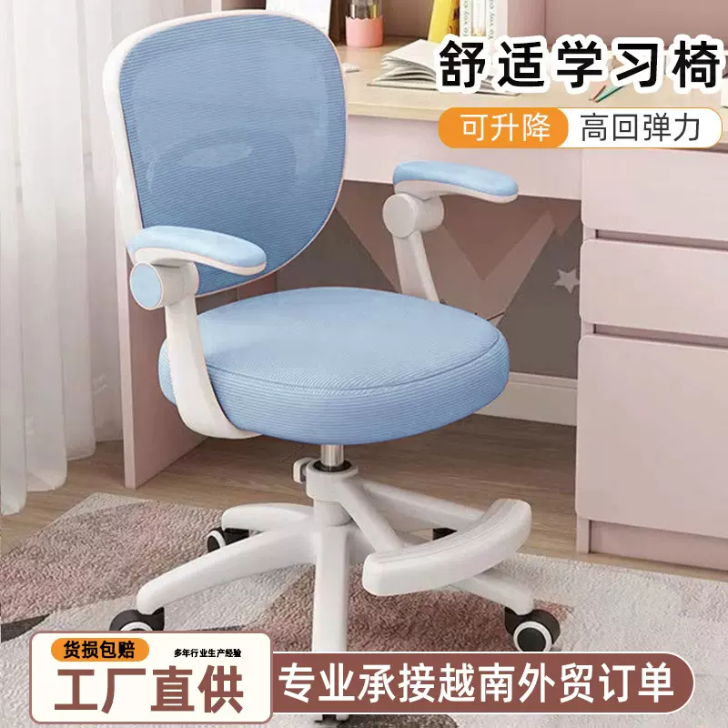 升降学习椅家用儿童写字专用椅矫姿追背椅书房调节办公电脑椅桌椅