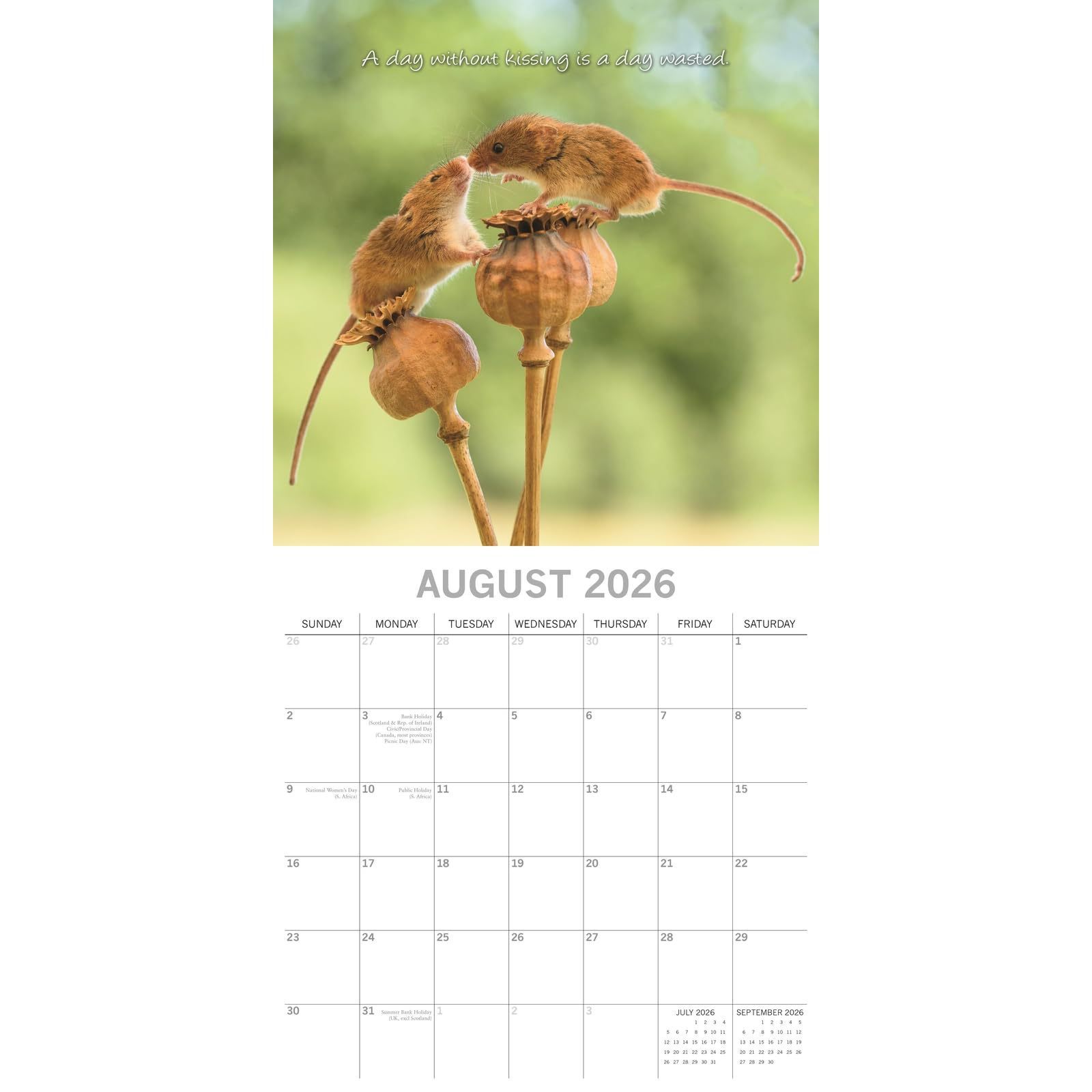 Amazon New Kisses Square Wall Calendar 2026 Square Wall Calendar Kisses Calendar