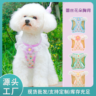 Cat Leash Anti-break-free Cat Walking Leash Dog Chest Strap Vest-style Dog Chain Pet Going Out with Cat Leash