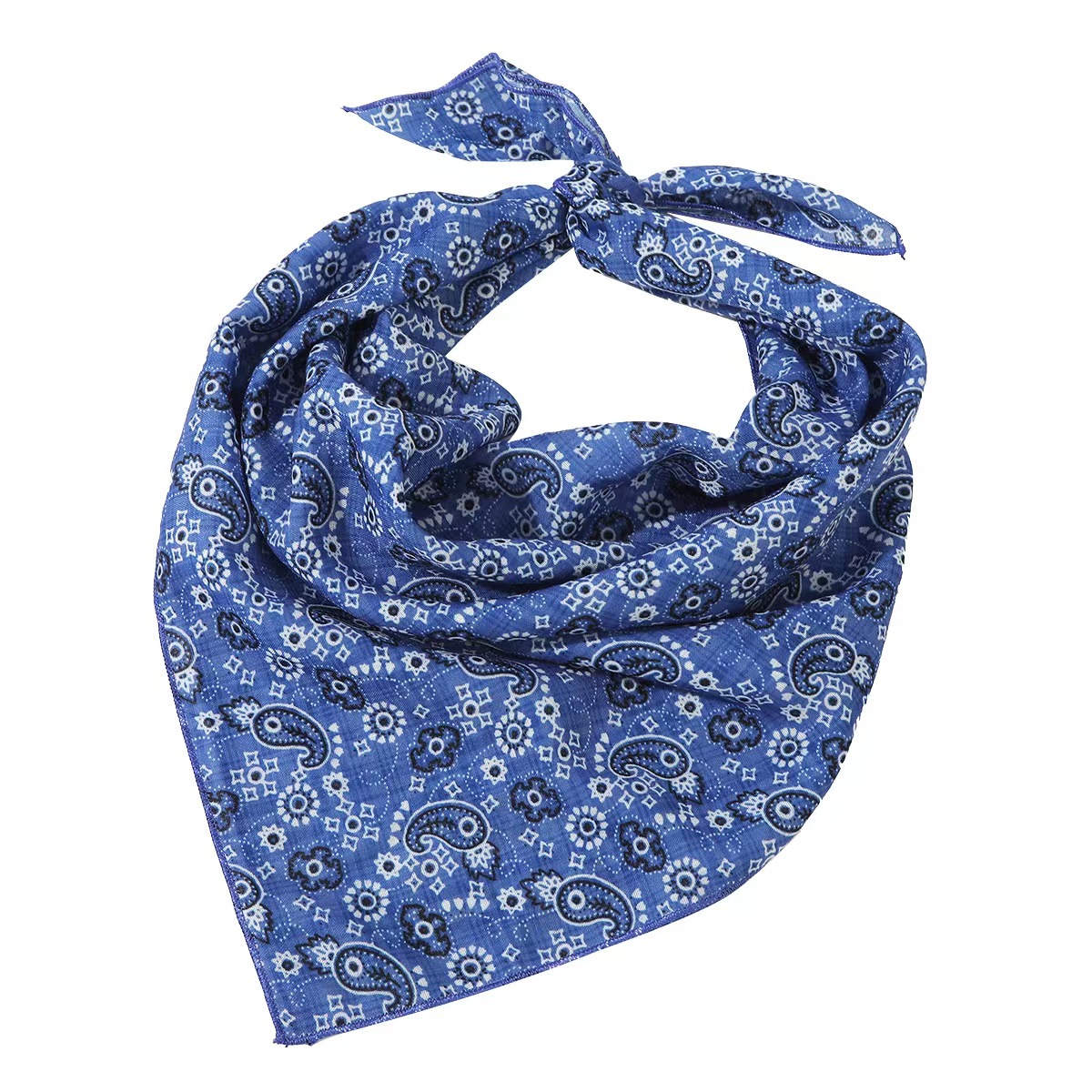 블루 캐슈넛 19개