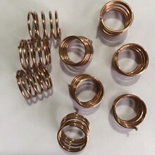 �������ɏS�� �a���l�����~�z���� ���N�y�T�p������