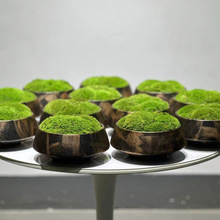 新中式花艺仿真绿植观样板房客厅售楼处永生植物青苔盆栽桌面摆件
