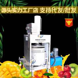 葡萄红提果泥榨汁分离果汁压榨机 销售液压压榨机价格图片压力