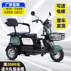 新型電動三輪車家庭用小型電気自動車老人高齢者車が子供の電気三輪さんを送迎する