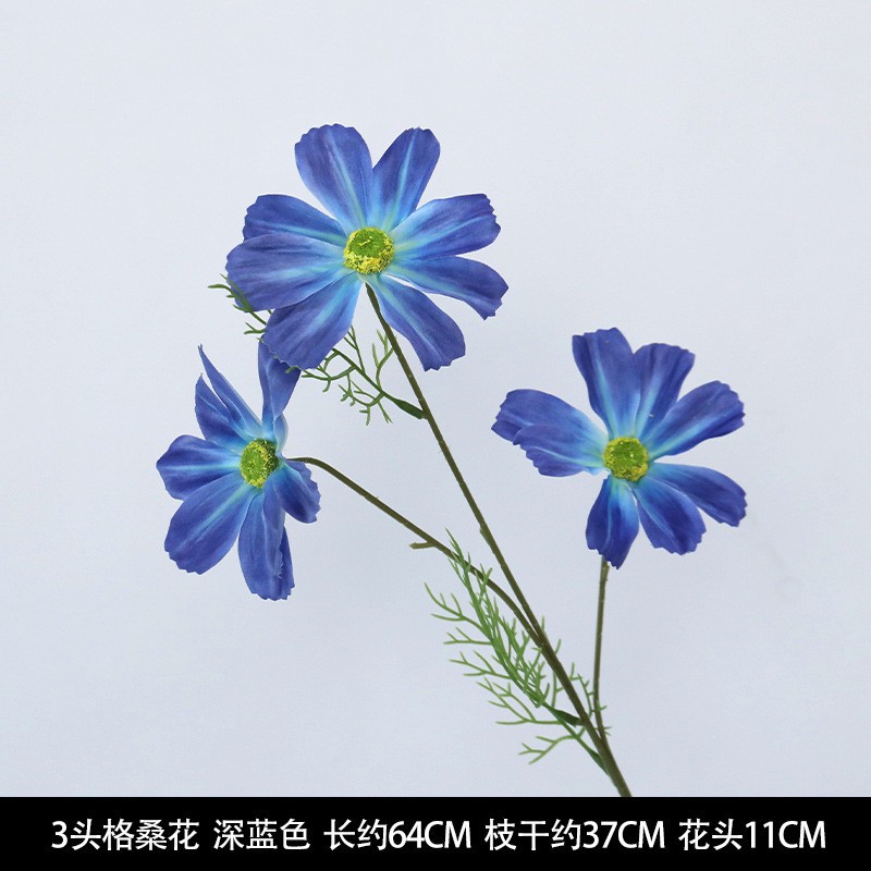 3개의 머리 게상 꽃 진한 파란색