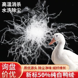 羽毛、羽绒