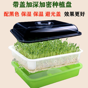 �I��ѿ�lѿ�趹���㶹������P�Nֲ�Pѿ���ˮ���߲��O��ѿ������