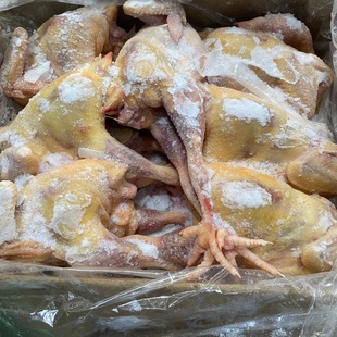 ��ĸ�u���u���������u�齷�u ���Ƀ���21��/�� ��������������l