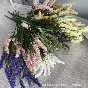 ���滨����6��޹�²ݷ��b��ٻ��廨���滨���Ҿ��bGֲ����