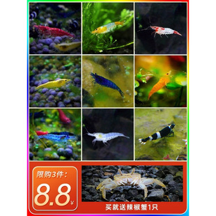 ���ߺښ��r�O��Ҽˮ���ײ͵�ˮ�ѻ��r�����r���w�~���^�p�r�����r