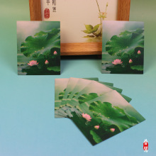 2026�R����Ʒ�o�ۺɻ���ؔ�b��֙C�N��ɏ���N���Ԏ����z�x�����l