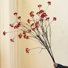 ���滨�t��֦�����ɽ�w�������ٗl�{���p�@֦�l��ʽ�����b�ˇ